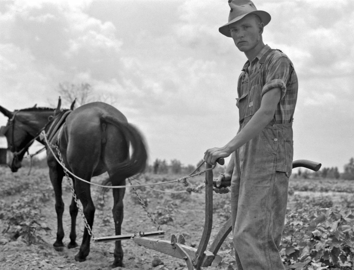 Digital sharecropping in the social media age